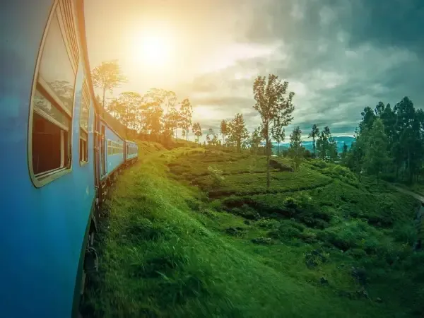 5 Must-Visit Places in Ella, Sri Lanka (Ultimate Guide)