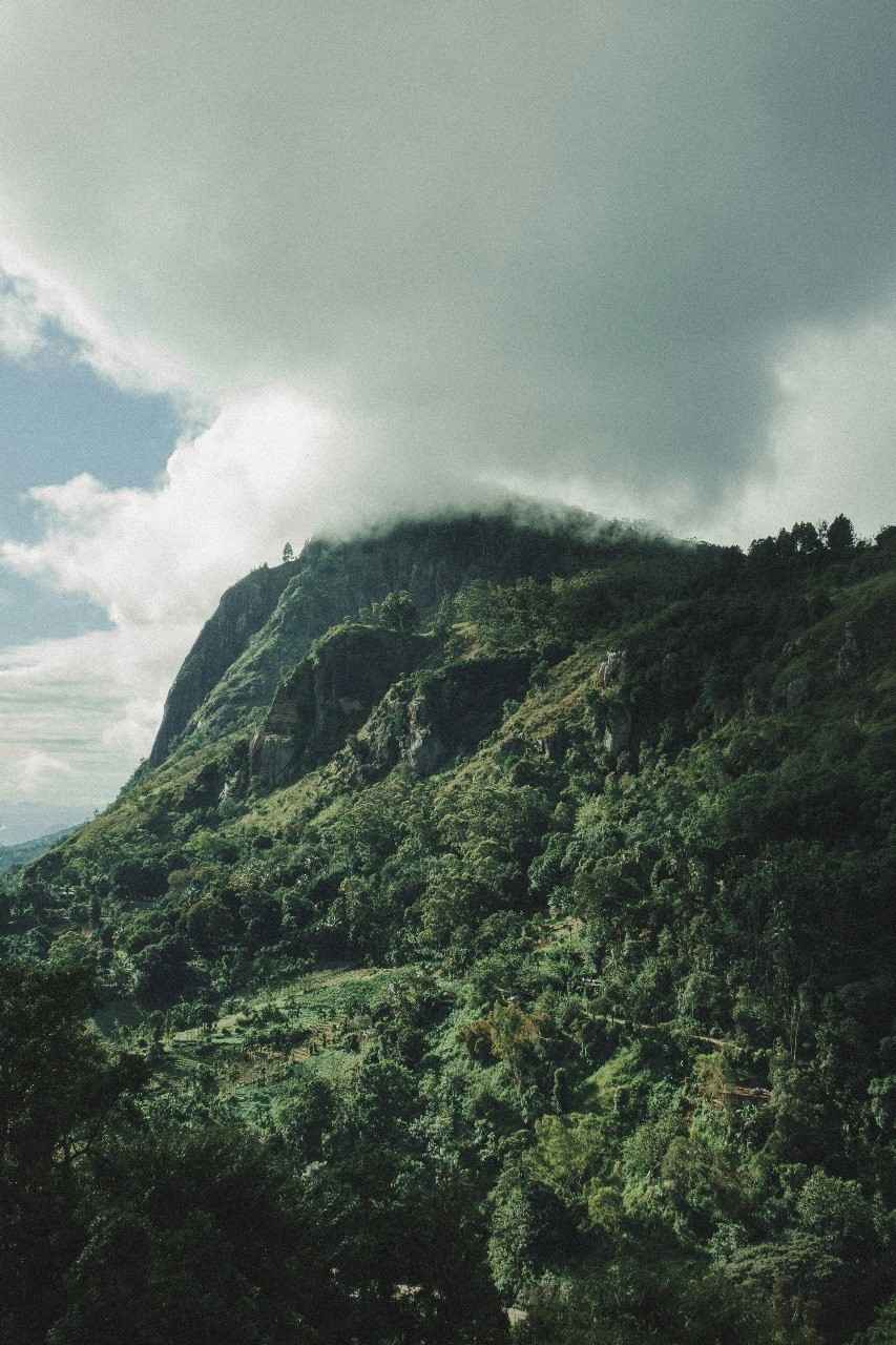 Sri Lanka Classic Tour Package