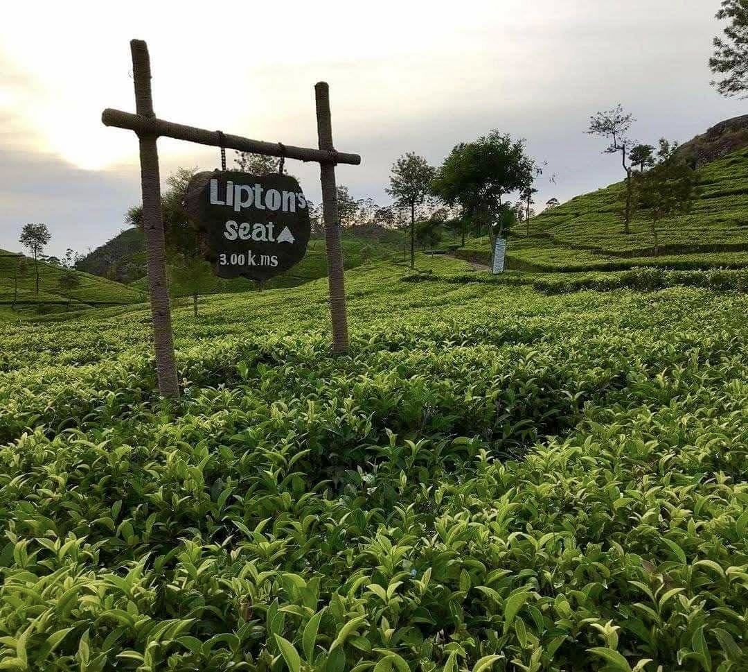 Lipton's Seat near Ella